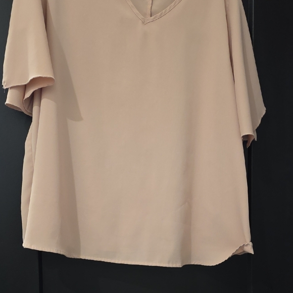 SHEIN Blush V-Neck Blouse - Picture 3 of 4